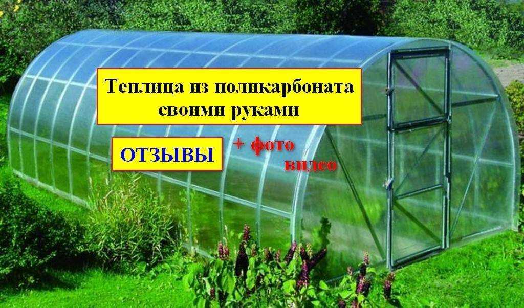 Какой сотовый поликарбонат лучше для теплицы: как выбрать парник, отзывы и производители, размеры каркаса