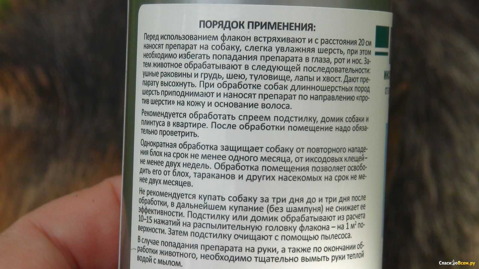12 лучших шампуней для кошек и котов