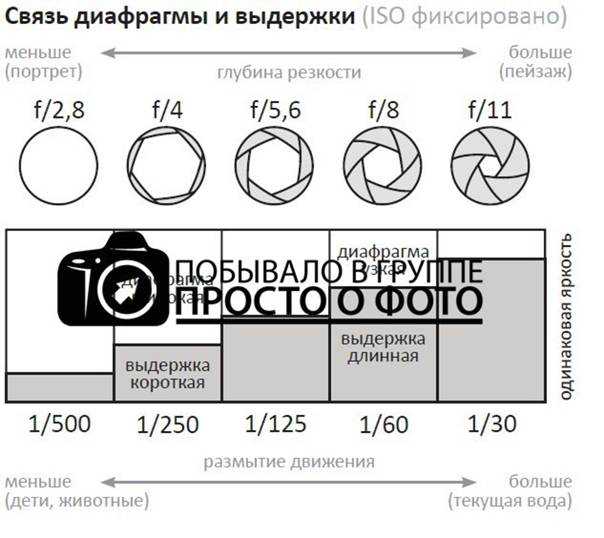 Что значит стандарт iso в фотоаппарате, как он работает, связь с экспозицией
