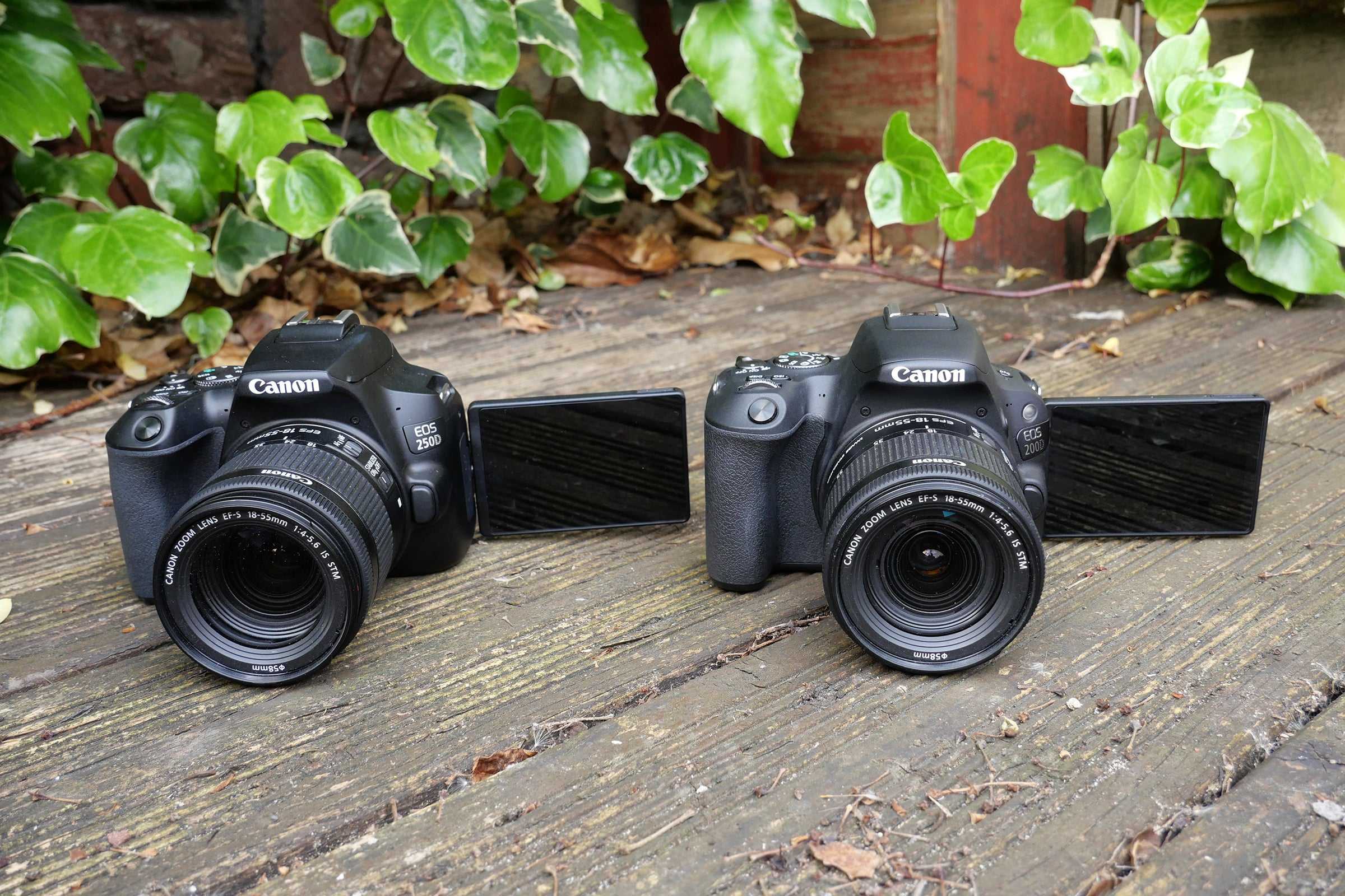 Canon eos rebel sl2 / eos 200d review