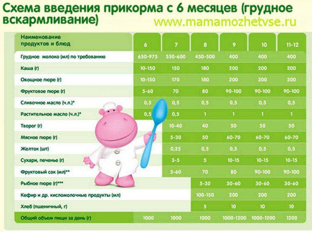 Какой фирмы каши лучше для первого прикорма