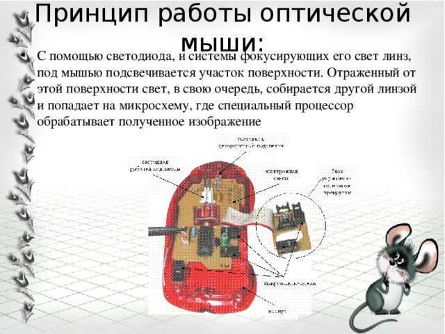 Какую мышку выбрать - оптическую или лазерную?