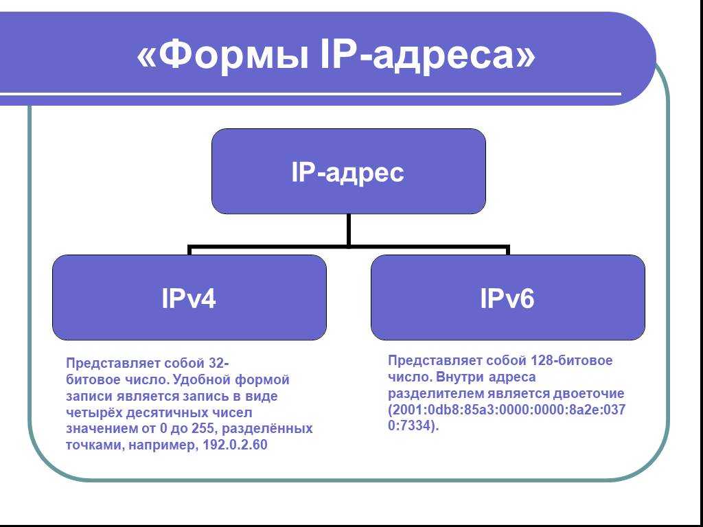 Твой сетевичок