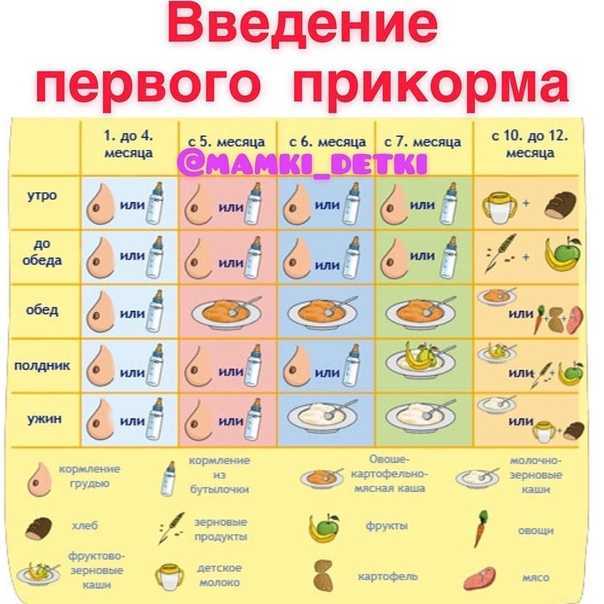 Топ-9 каш для первого прикорма: выбираем лучшую продукцию