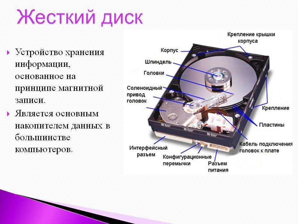 Что такое винчестер или жесткий диск в компьютере