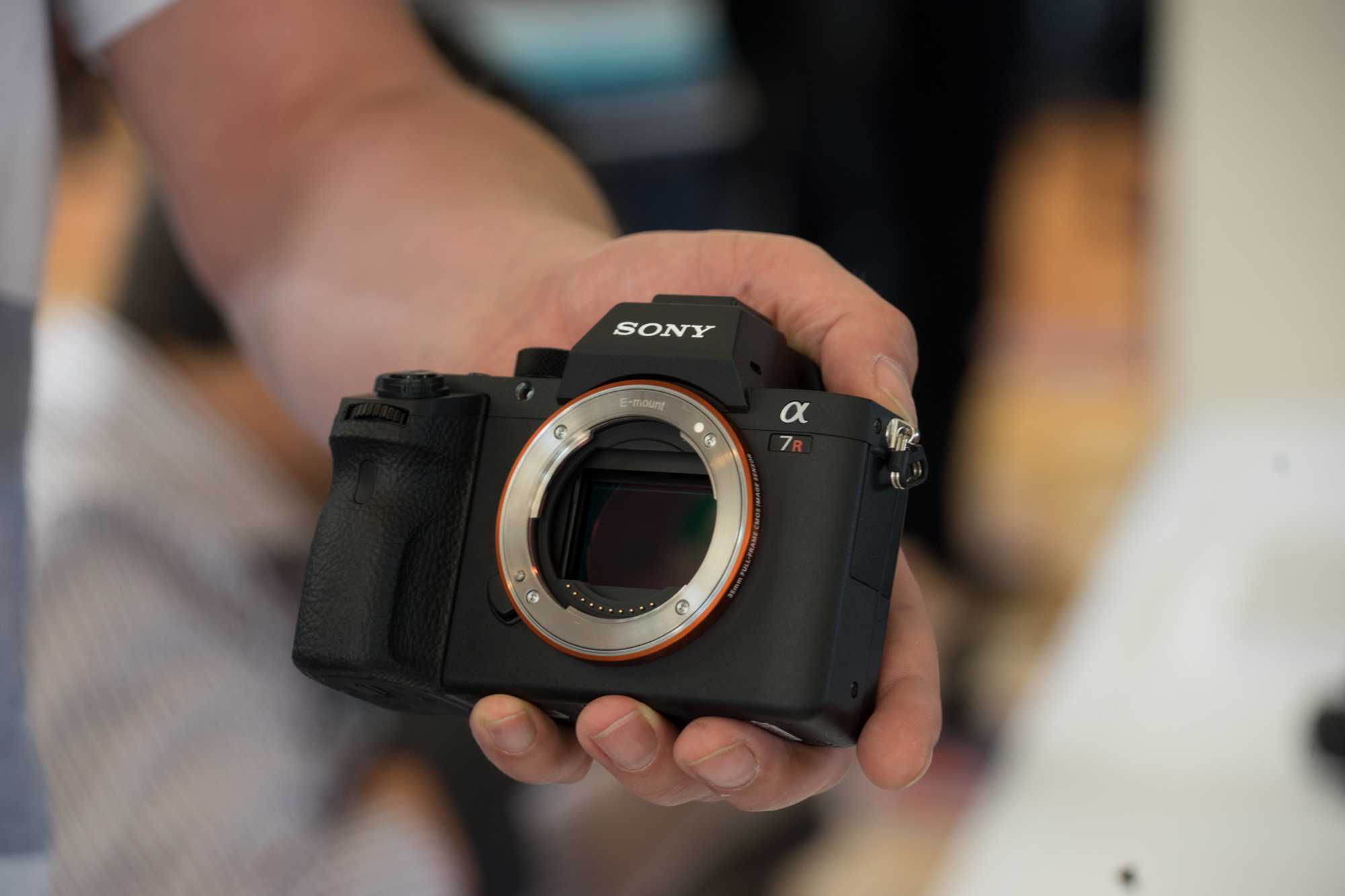 Обзор sony a7c: впечатляет ли alpha 7c? - elitetech