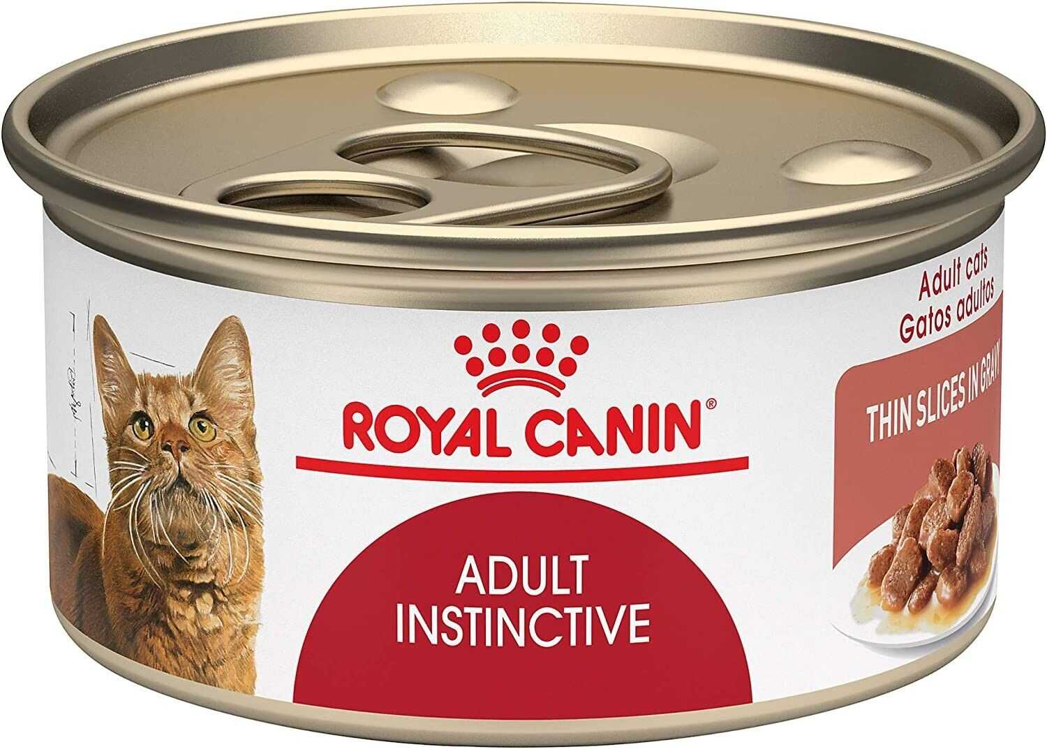 Кошачий корм: рейтинг продуктов для кормления кошек и котят от эконом- до супер-премиум-класса