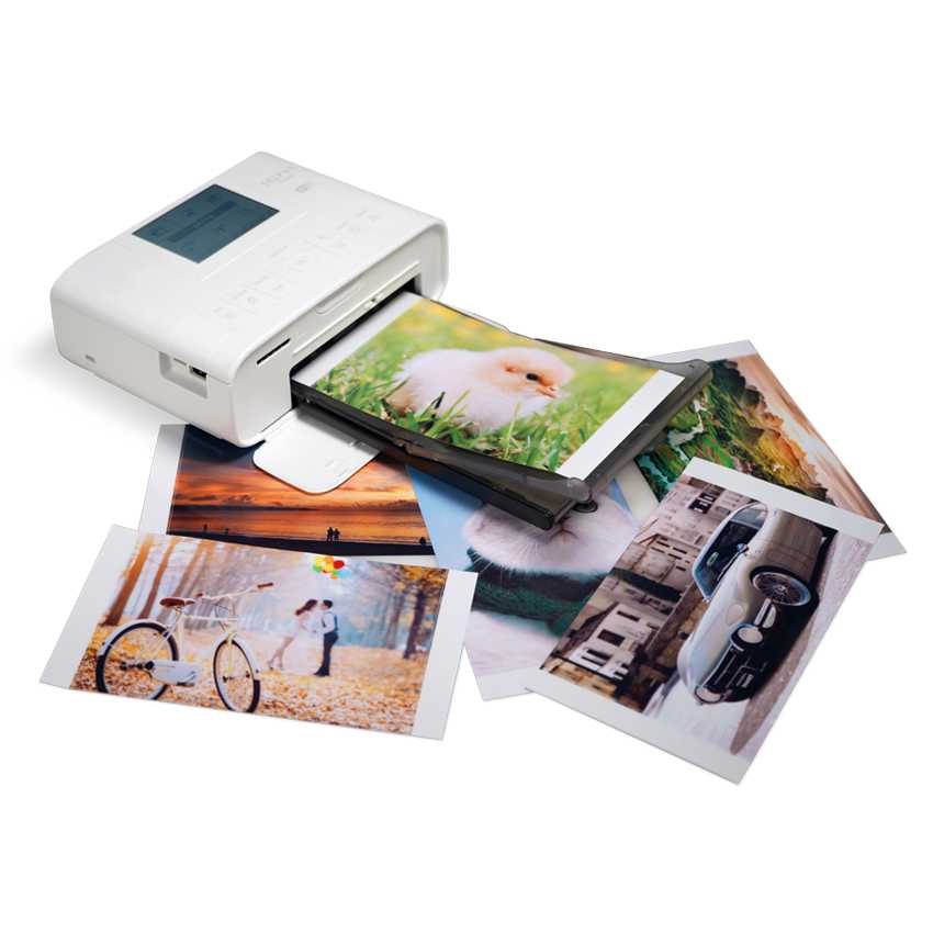 9 лучших фотопринтеров для печати фотографий с снпч – рейтинг 2023 | ratingpc.ru