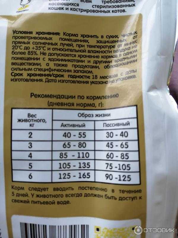 Вкусно и полезно: рейтинг лучших кормов для чихуахуа 2021 года