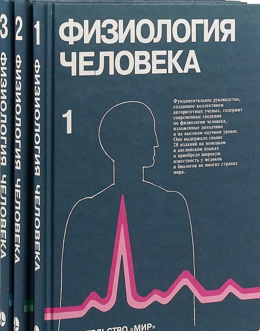 Основы рисования: 10 лучших учебников для художника