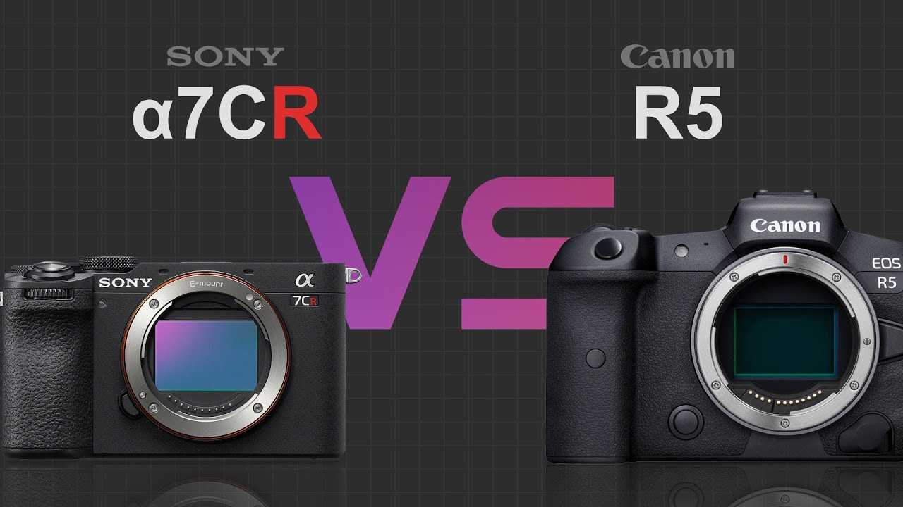 Камера Canon EOS 90D стала лучше – есть новый сенсор с высоким разрешением 32,5-МП против 24,2-МП у 80D, лучше обрезающий изображения,