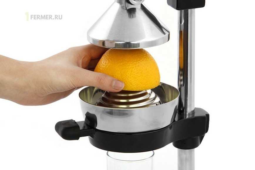 Топ-7 лучших соковыжималок для цитрусовых: какую купить, плюсы и минусы, отзывы