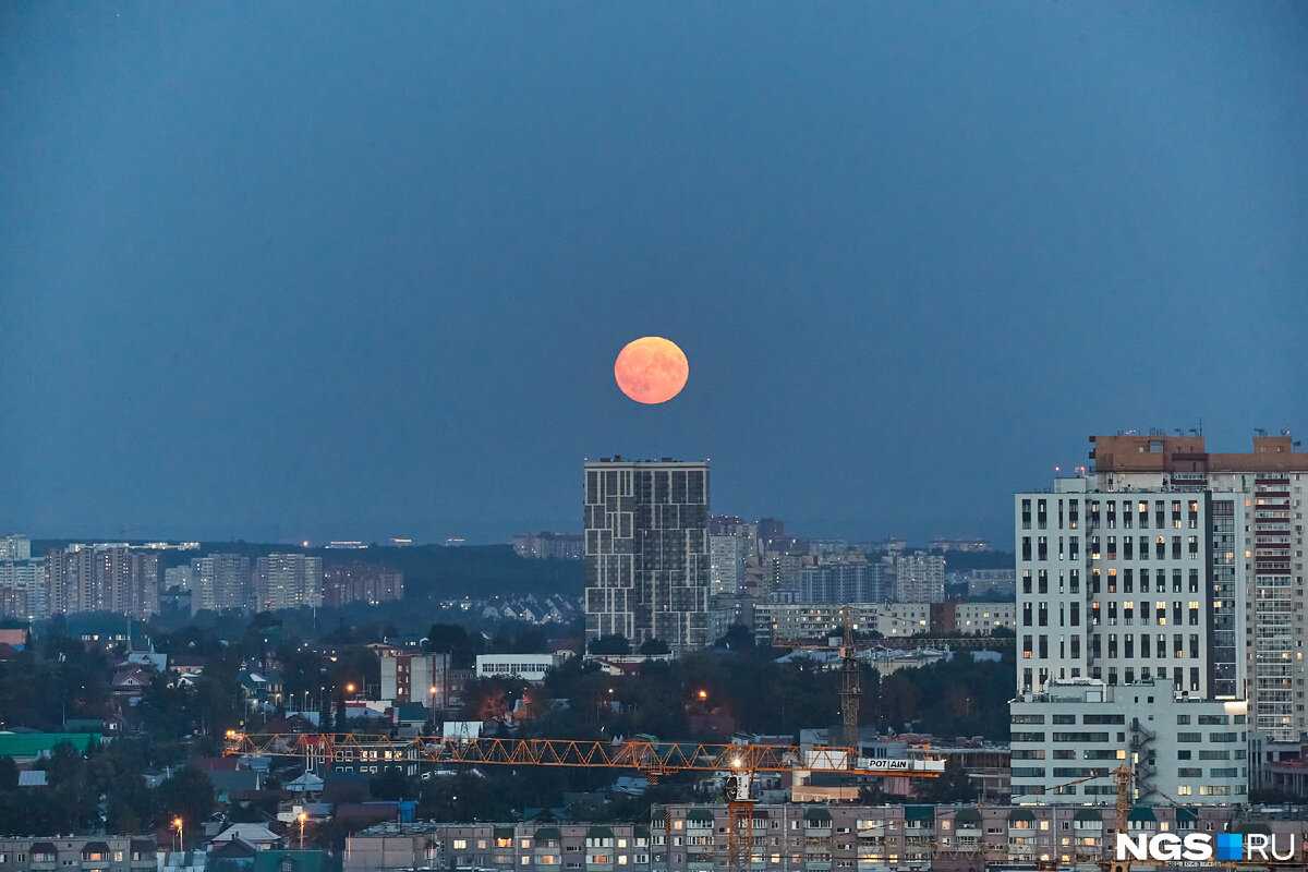 Золотой ребенок. сколько стоит эко в 2021 году