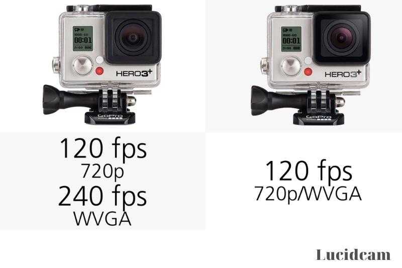 Краткий обзор gopro fusion — 360-градусная 5k экшн-камера от известного бренда