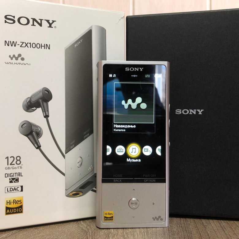 Sony nw-zx300 walkman quick review and sound impressions vs opus#1s dap - thepcenthusiast