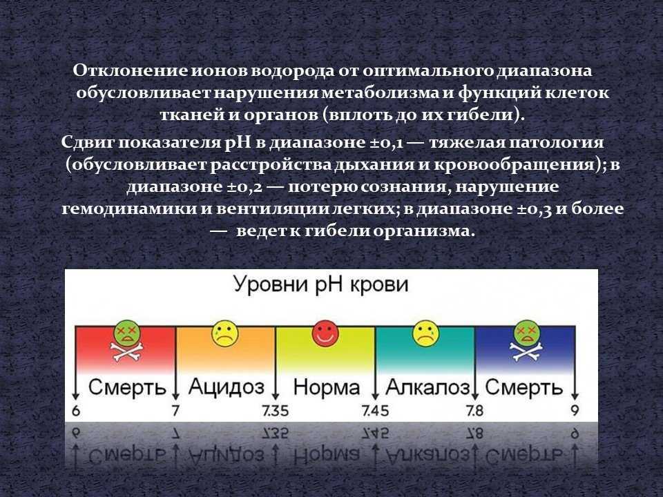 Обзор essensial phone