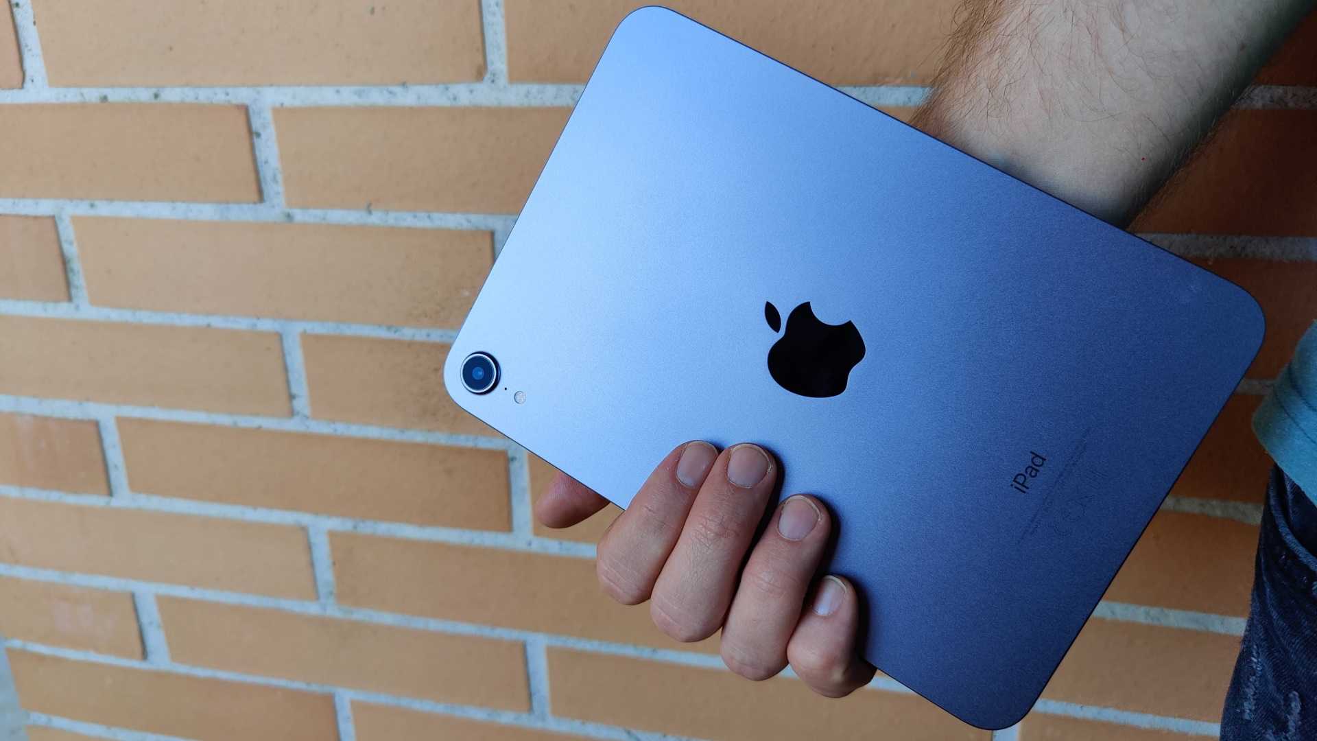 Ipad mini 6 (2021 г.) и ipad mini 5 (2019 г.): что нового? - истокс клуб