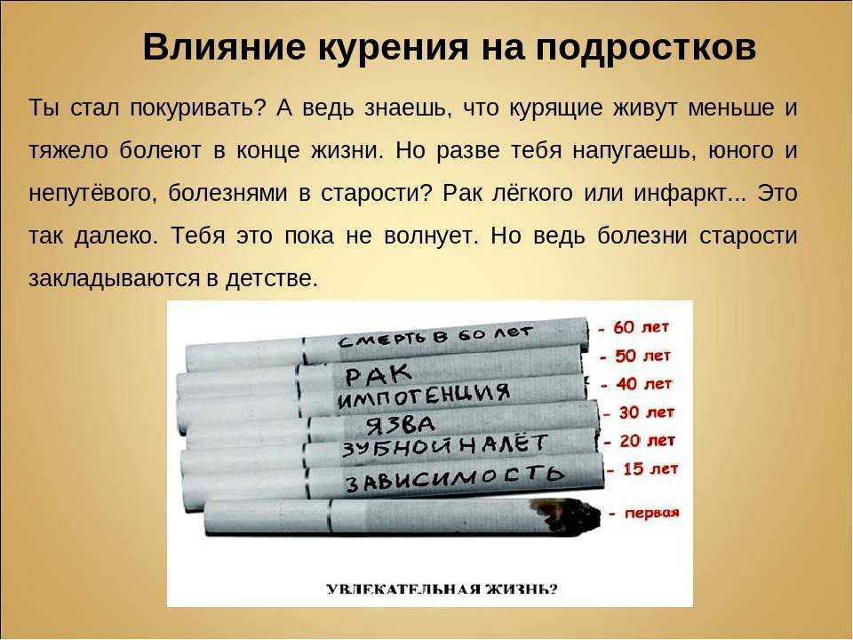 Топ-9 лучших систем нагревания табака на 2023 год в рейтинге zuzako