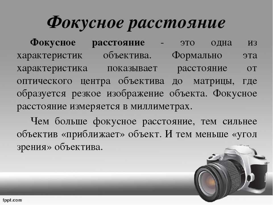 Light l16: все, что нужно знать о 16-объективной камере - цифровые фотоаппараты 2023