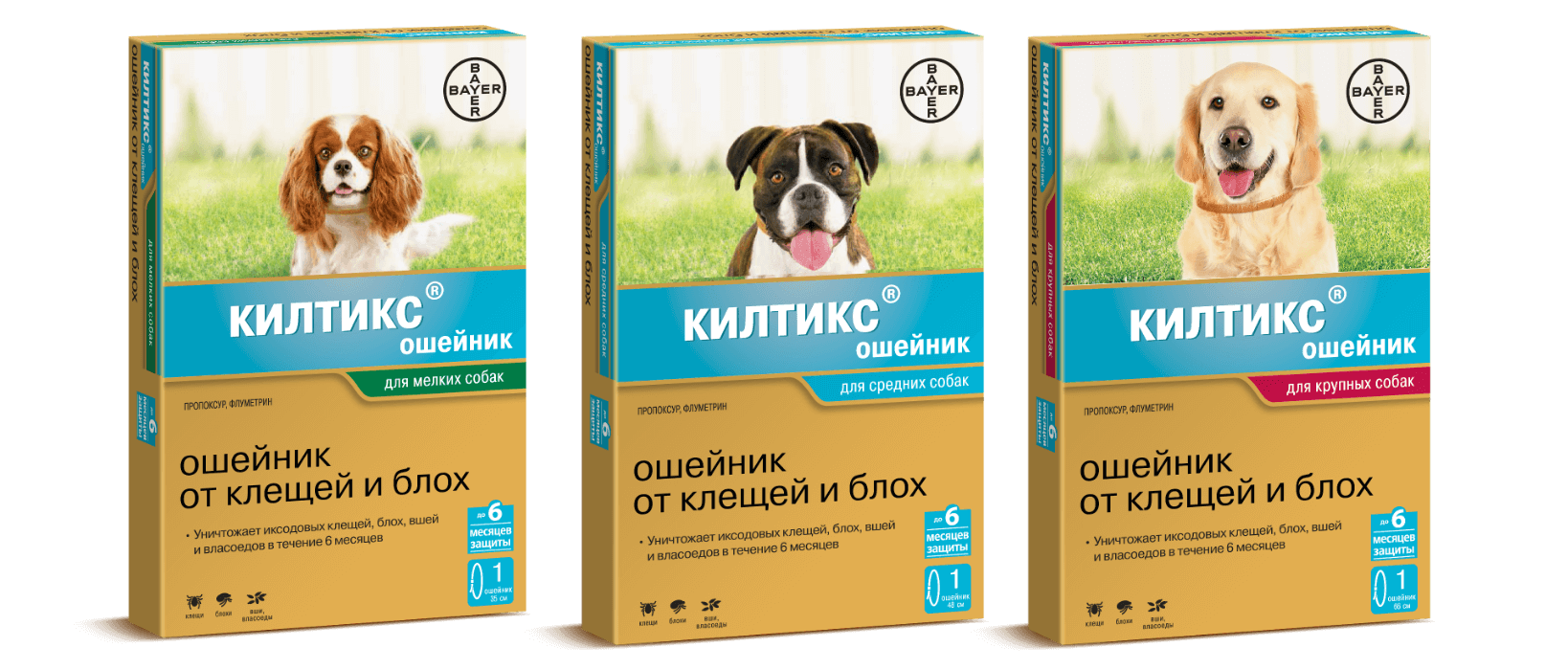 Лучшие шампуни от клещей и блох для кошек: рейтинг средств