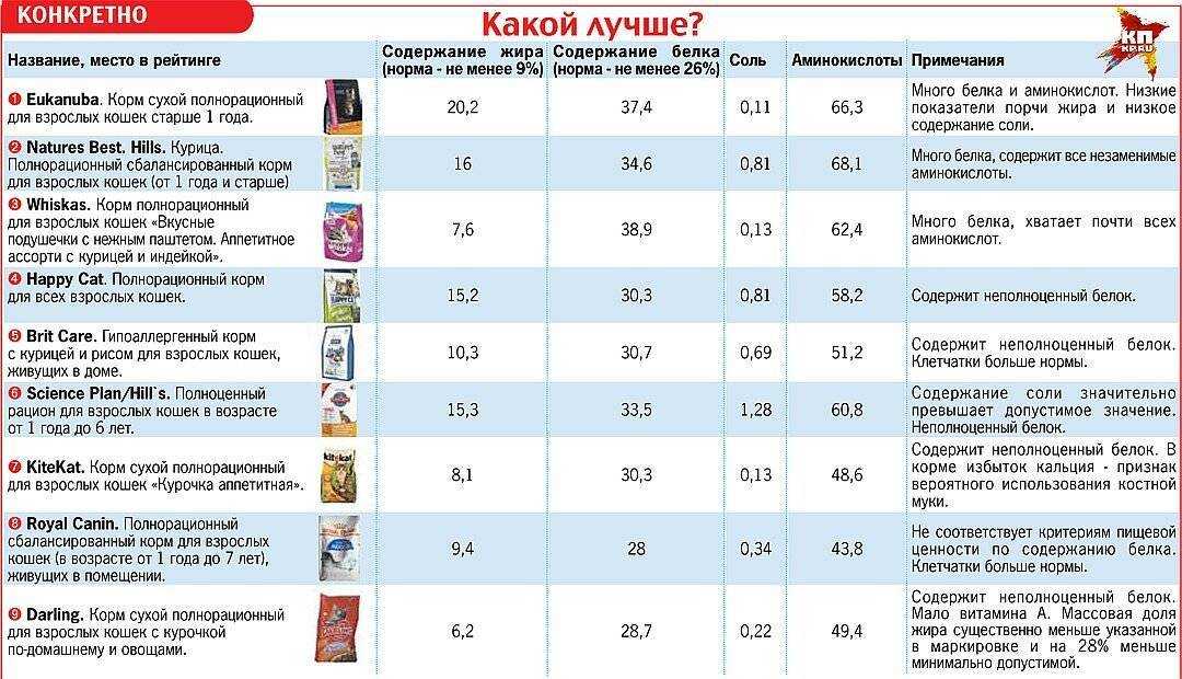 10 лучших сухих кормов для чихуахуа: рейтинг 2020 года