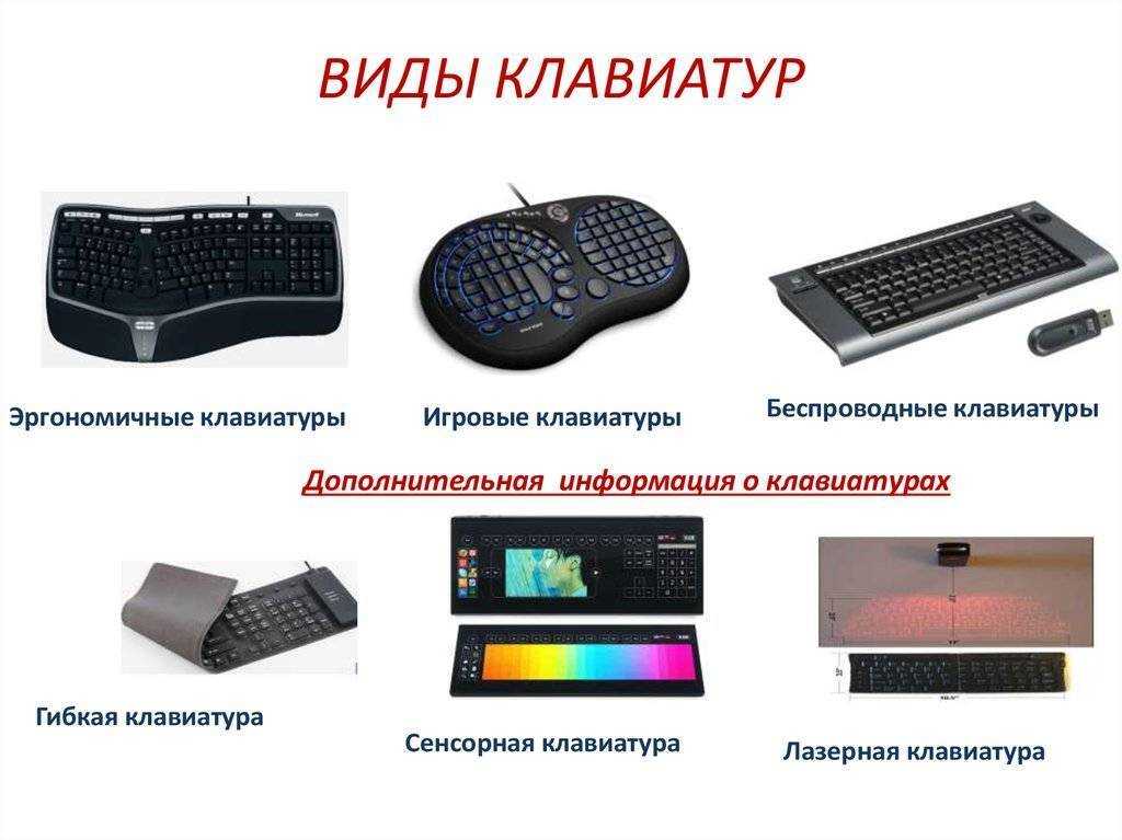 Как выбрать клавиатуру для компьютера: чем отличается механическая от мембранной, какая лучше для игр