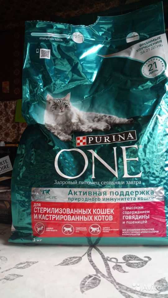 🐈 лучшие сухие корма для кошек на 2023 год