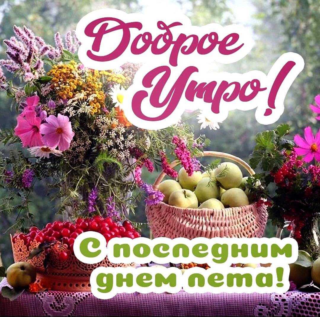 Рейтинг лучших ЧОПов Москвы 2021 года по мнению заказчиков услуг и оценкам самих охранников Достоинства и недостатки наиболее популярных организаций