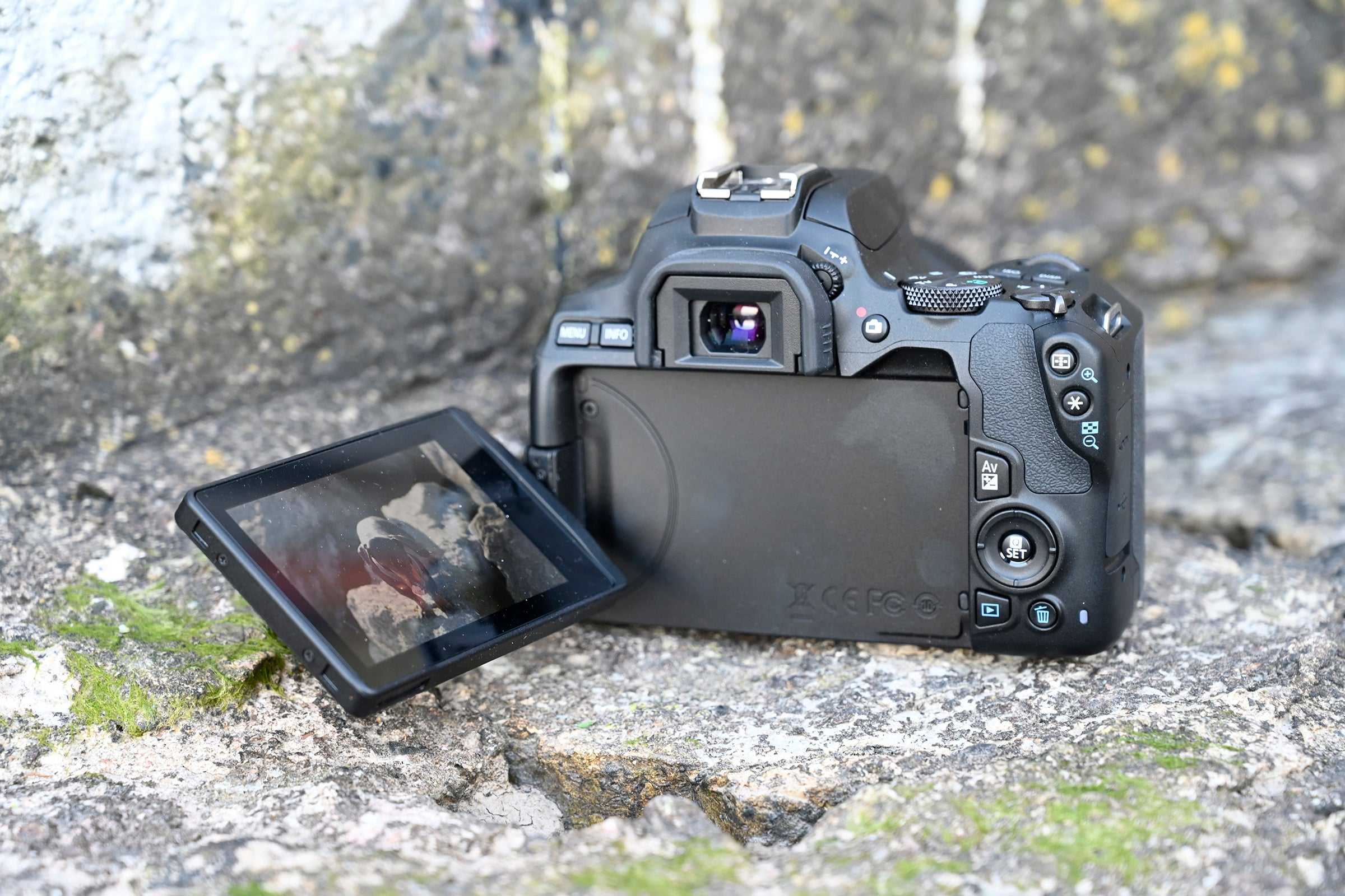 Canon eos rebel sl2 24.2mp dslr camera online at lowest price in india