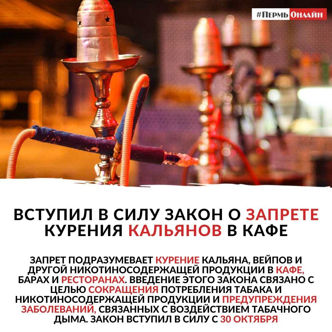 Какой кальян выбрать для дома, сравнение и рейтинг моделей, что влияет на качество и срок службы